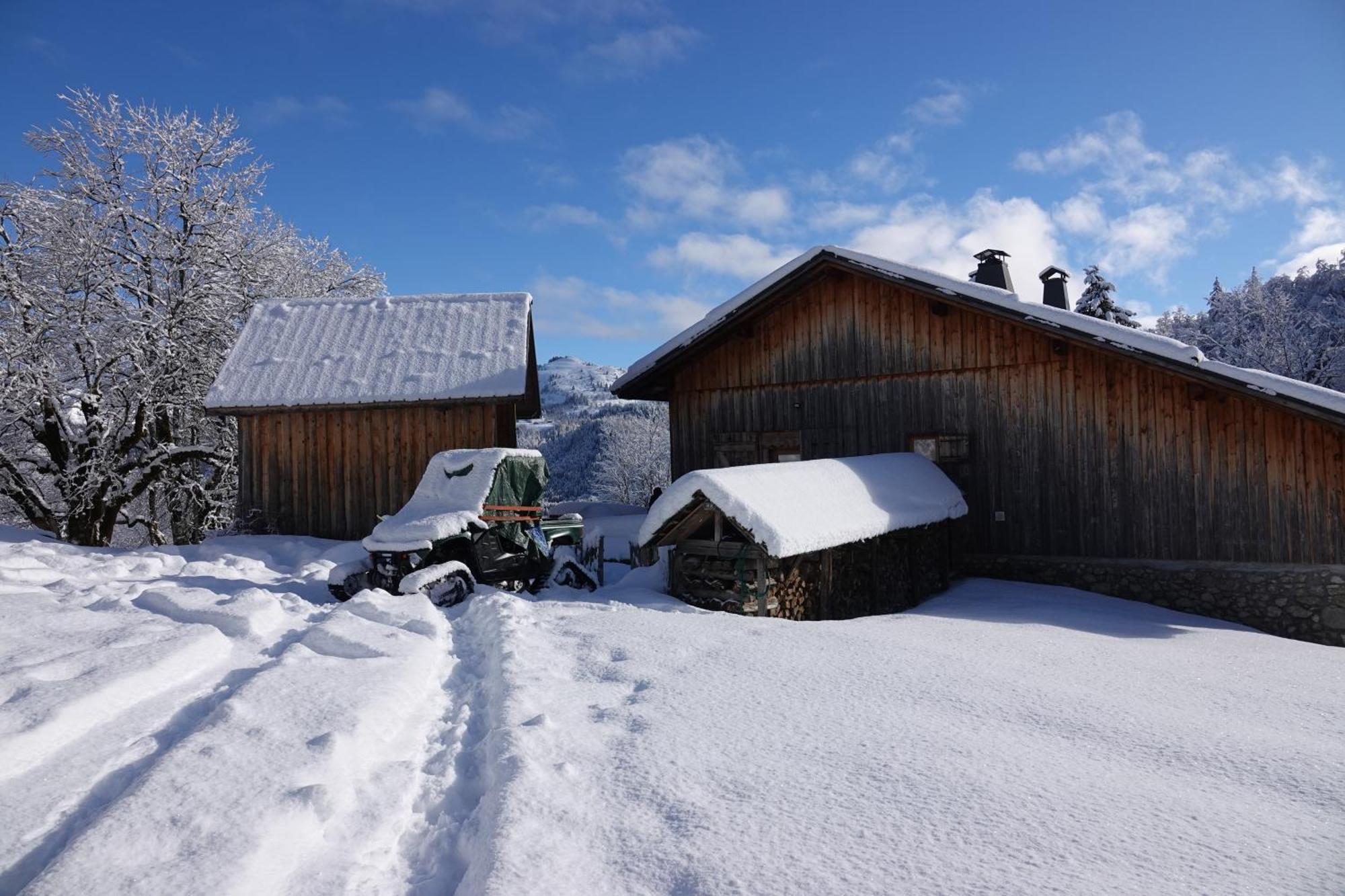 Chalet Alpage Proche Geneve Megevette Exterior photo